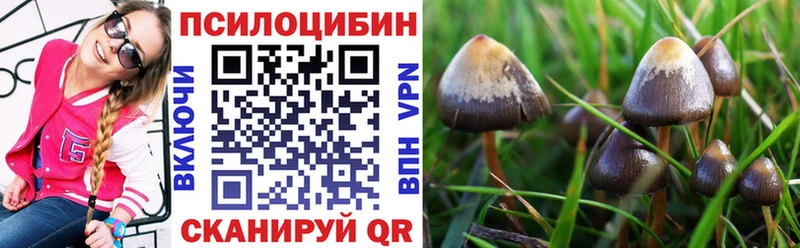 даркнет сайт  Саки  Галлюциногенные грибы мухоморы 