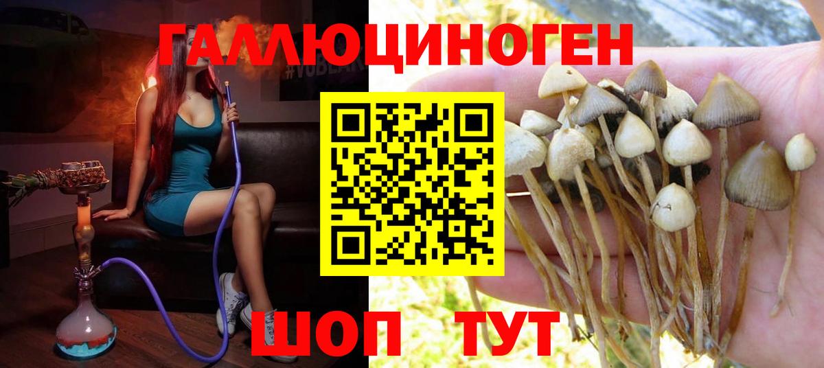Псилоцибиновые грибы GOLDEN TEACHER Саки