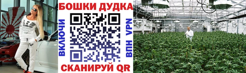 Бошки марихуана OG Kush Саки
